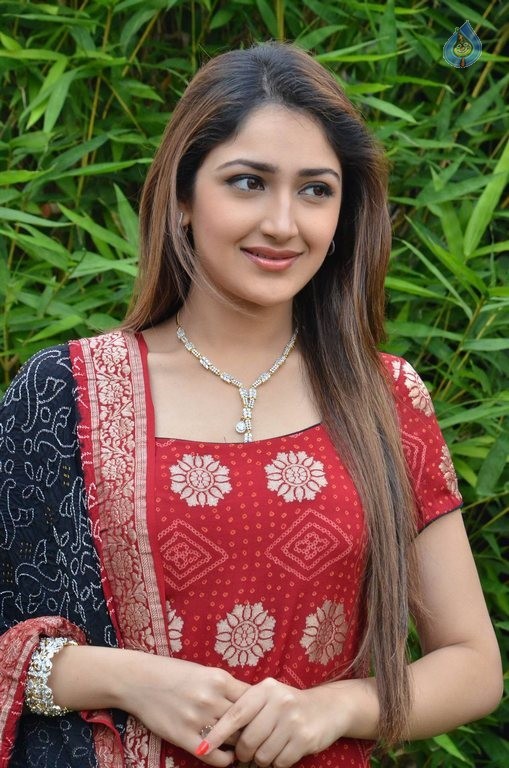 Sayyeshaa New Photos - 15 / 42 photos