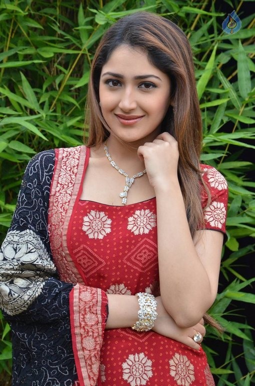 Sayyeshaa New Photos - 23 / 42 photos