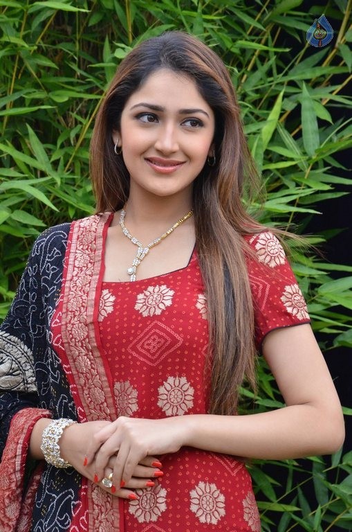 Sayyeshaa New Photos - 24 / 42 photos