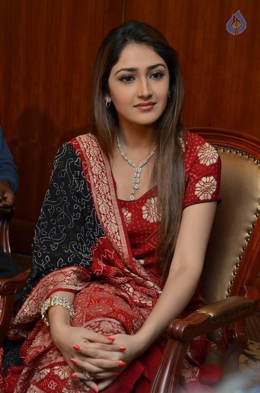 Sayyeshaa New Photos - 40 / 42 photos