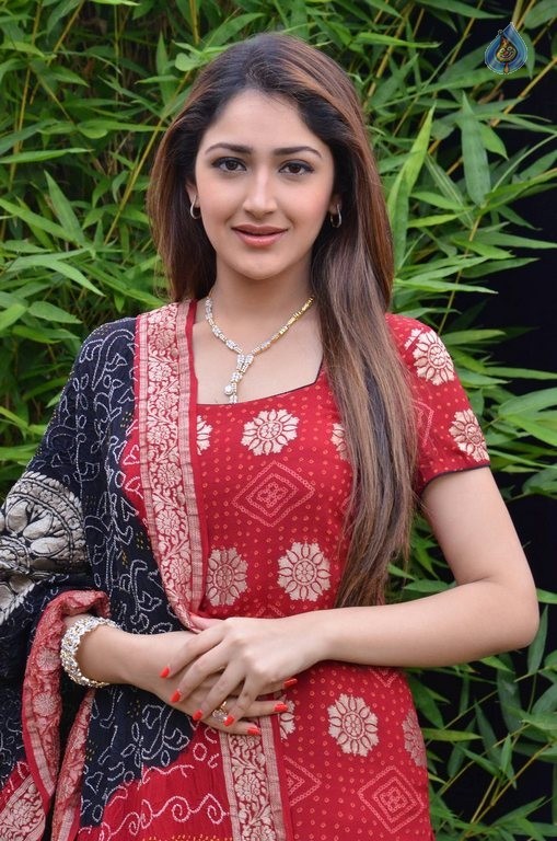 Sayyeshaa New Photos - 41 / 42 photos