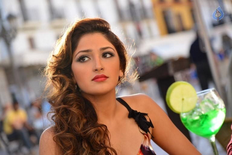 Sayyeshaa New Photos - 1 / 36 photos