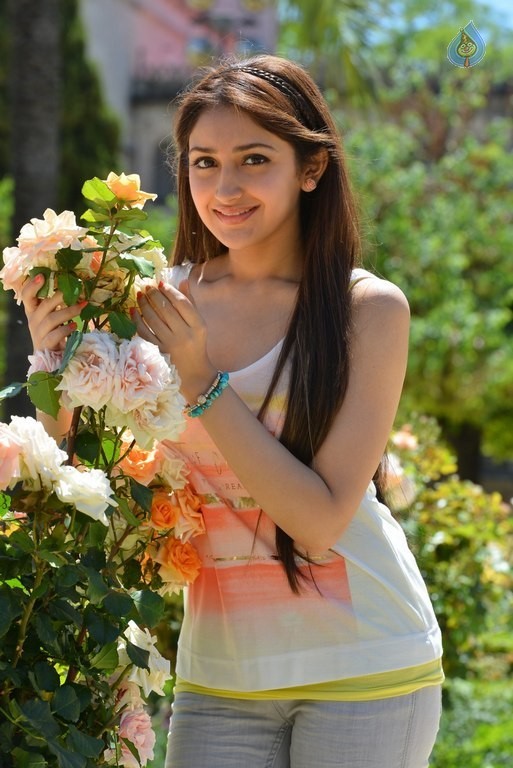 Sayyeshaa New Pics - 4 / 35 photos