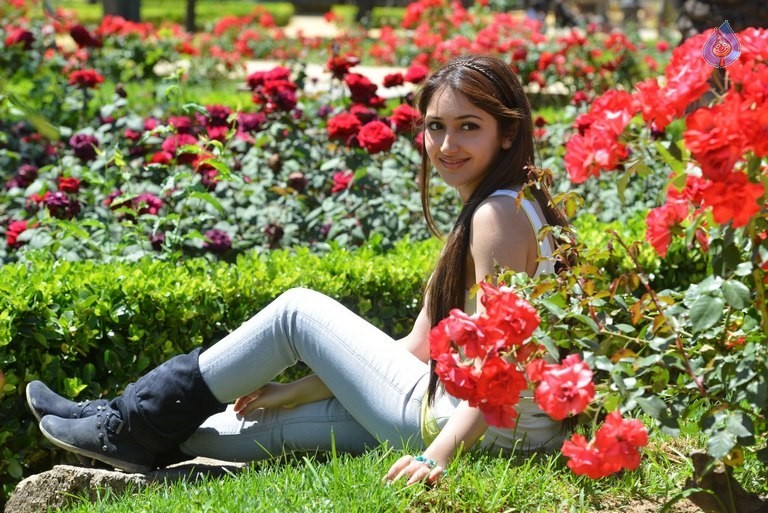 Sayyeshaa New Pics - 10 / 35 photos