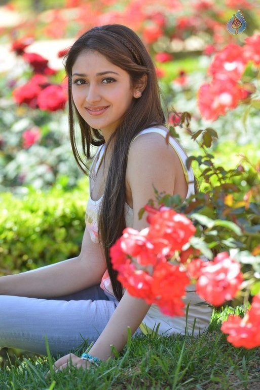 Sayyeshaa New Pics - 11 / 35 photos