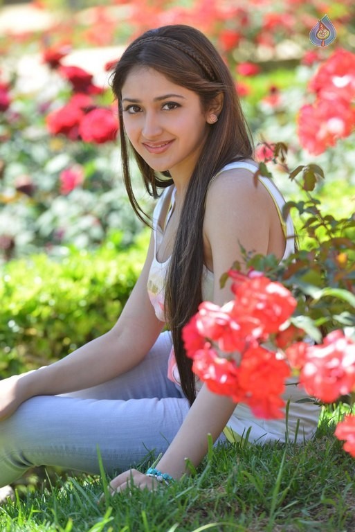 Sayyeshaa New Pics - 27 / 35 photos