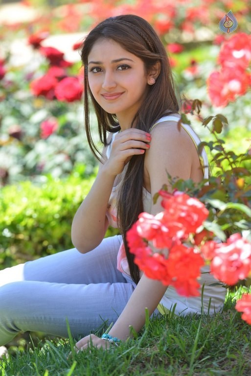 Sayyeshaa New Pics - 28 / 35 photos