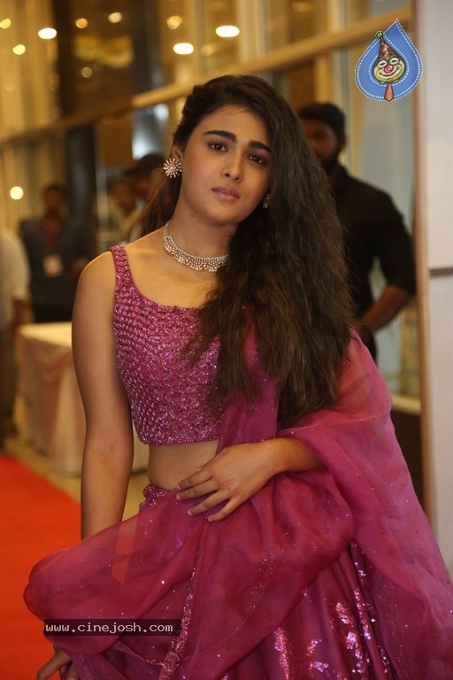 Shalini Pandey New Pics - 5 / 21 photos
