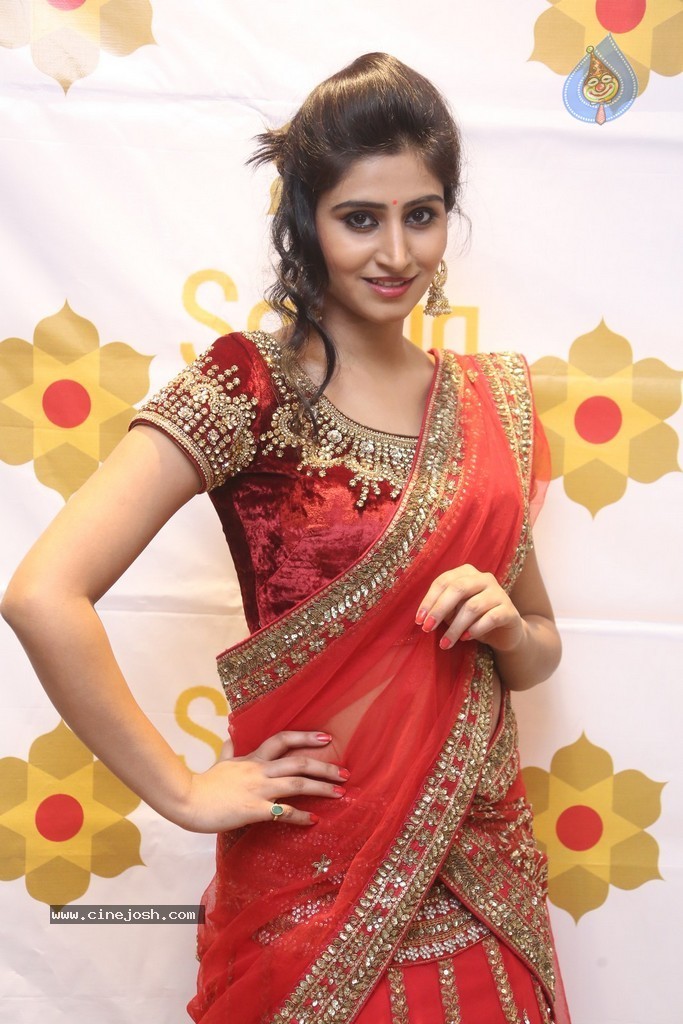 Shamili Gallery - 100 / 131 photos