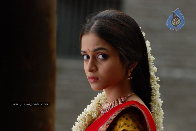 Sheena Shahabadi Stills  - 6 / 85 photos