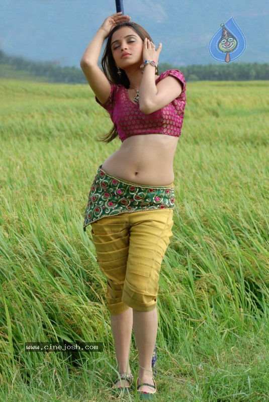 Sheena Shahabadi Stills  - 30 / 85 photos