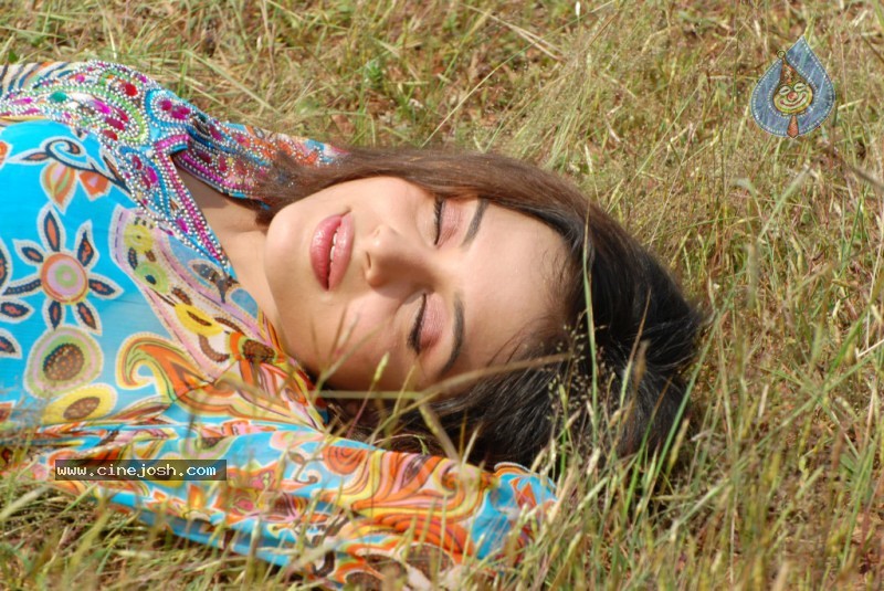 Sheena Shahabadi Stills  - 59 / 85 photos