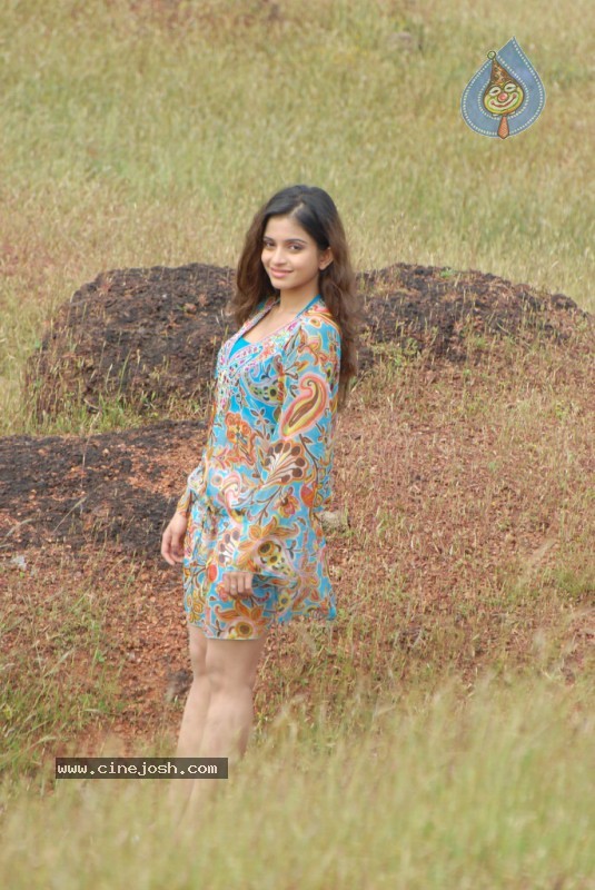 Sheena Shahabadi Stills  - 80 / 85 photos