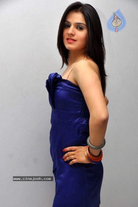 Shefali Sharma Hot Stills - 16 / 80 photos