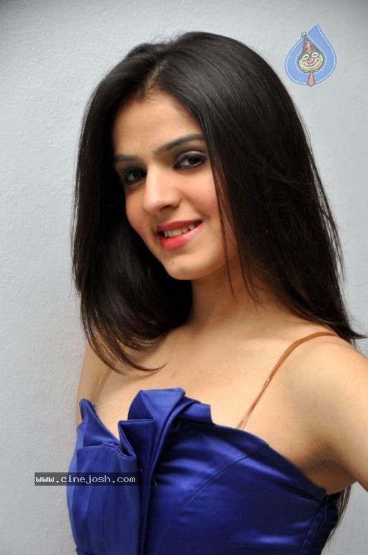 Shefali Sharma Hot Stills - 25 / 80 photos