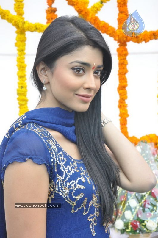 Shriya at SSC Production No. 3 Movie Launch - 29 / 45 photos