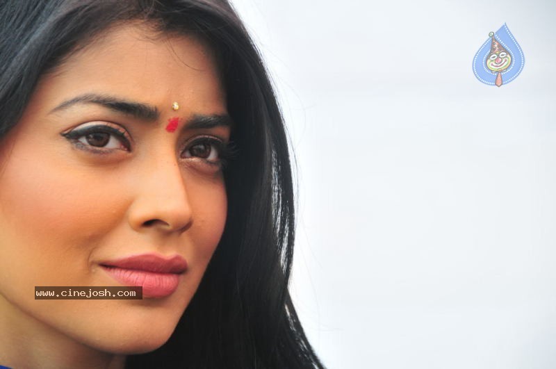 Shriya at SSC Production No. 3 Movie Launch - 32 / 45 photos