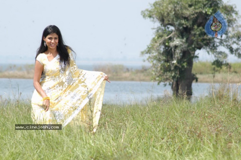 Shriya Dhanvanthri Gallery - 14 / 50 photos