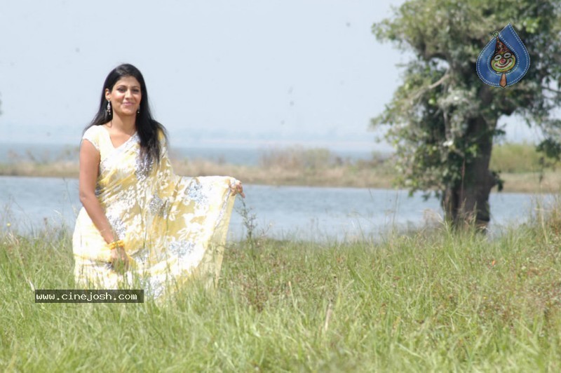 Shriya Dhanvanthri Gallery - 27 / 50 photos