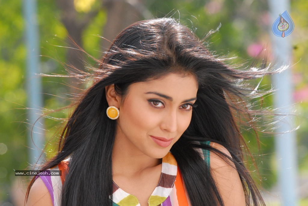 Shriya Hot Gallery - 31 / 75 photos