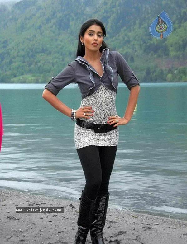 Shriya New Photo Gallery - 7 / 36 photos