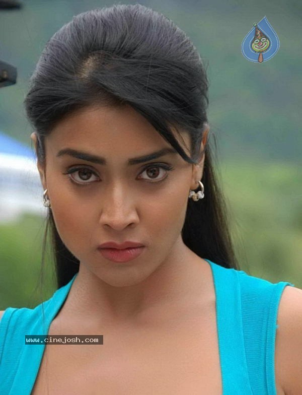 Shriya New Photo Gallery - 14 / 36 photos