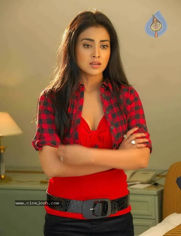 Shriya New Photo Gallery - 17 / 36 photos