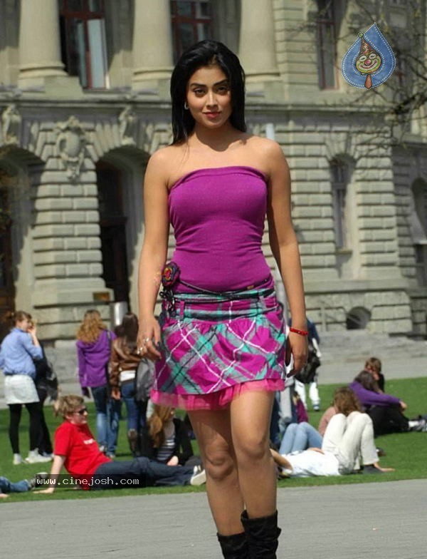 Shriya New Photo Gallery - 22 / 36 photos