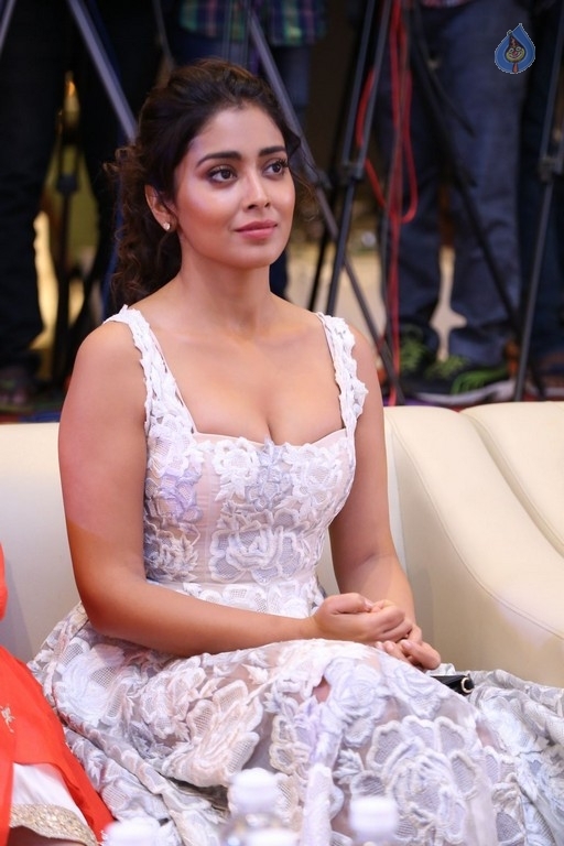 Shriya Saran Gallery - 12 / 17 photos