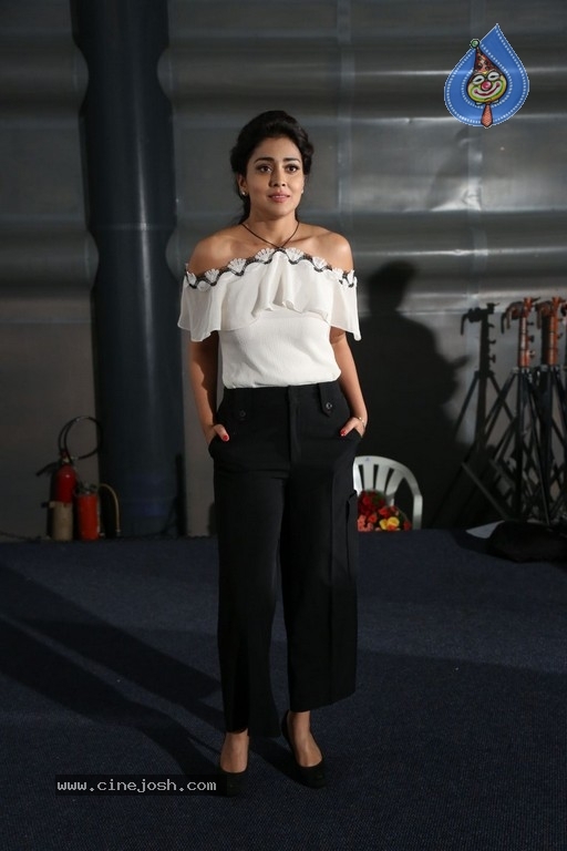 Shriya Saran Pictures - 7 / 15 photos