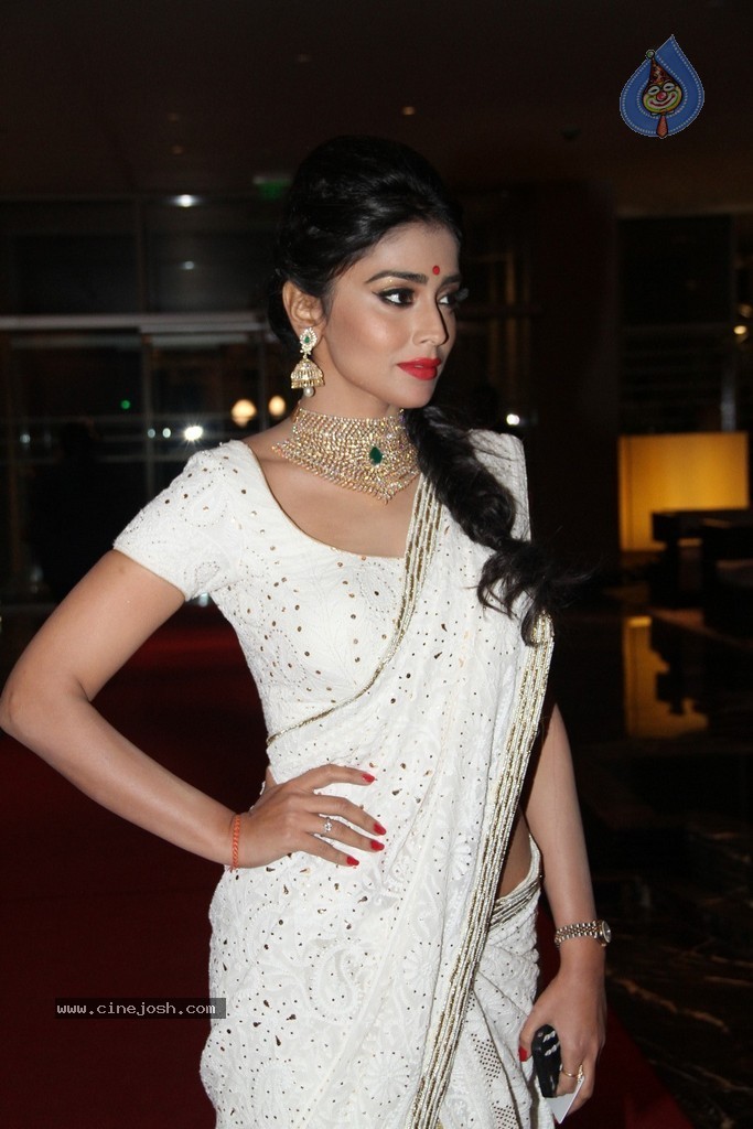 Shriya Saran Spicy Stills - 36 / 111 photos