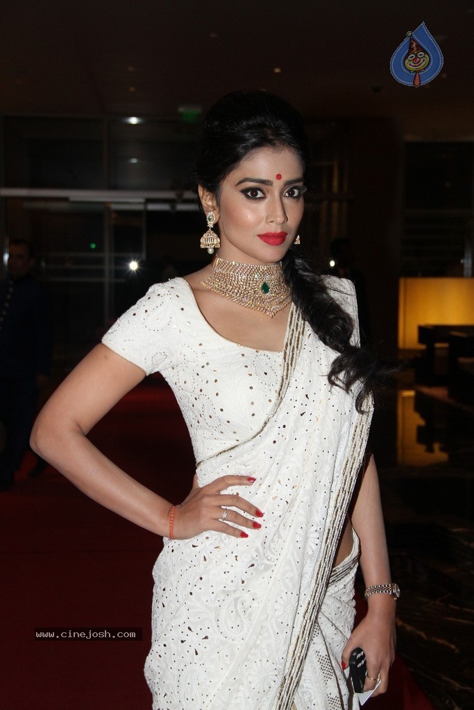 Shriya Saran Spicy Stills - 38 / 111 photos