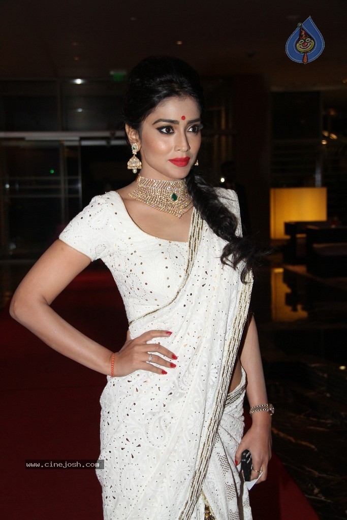 Shriya Saran Spicy Stills - 99 / 111 photos