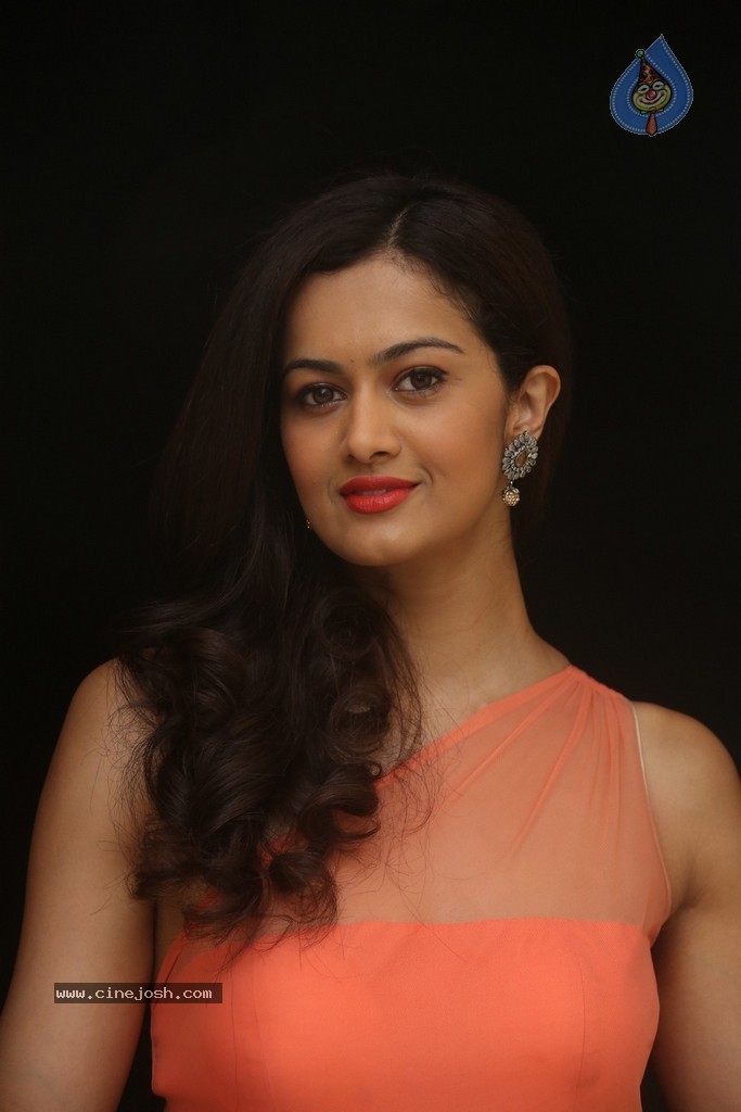 Shubra Aiyappa New Gallery - 87 / 108 photos