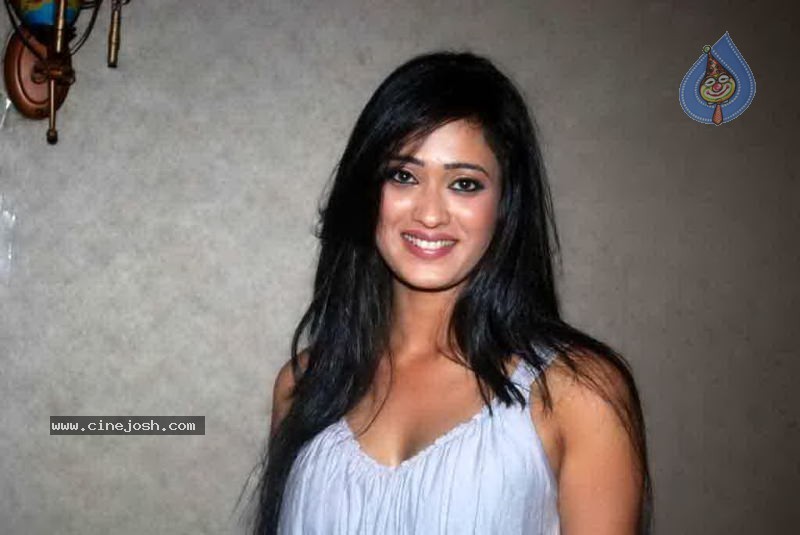 Shweta Tiwari Hot Stills - 12 / 16 photos