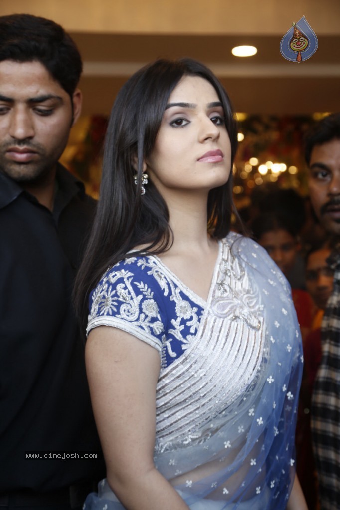 Siddhika Sharma Hot Photos - 26 / 94 photos