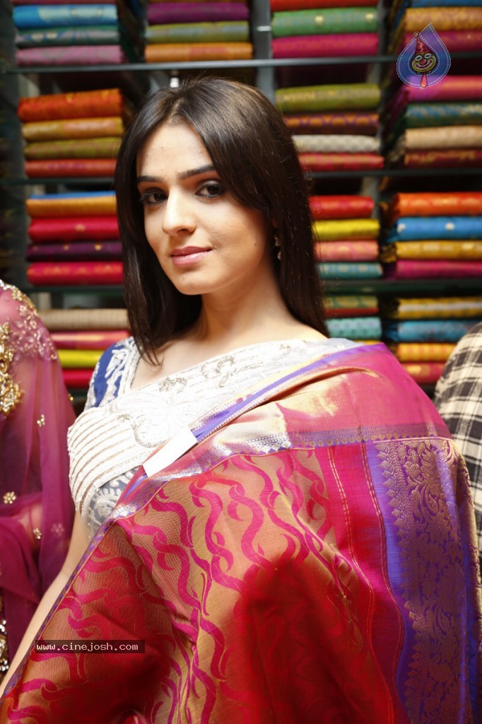 Siddhika Sharma Hot Photos - 88 / 94 photos