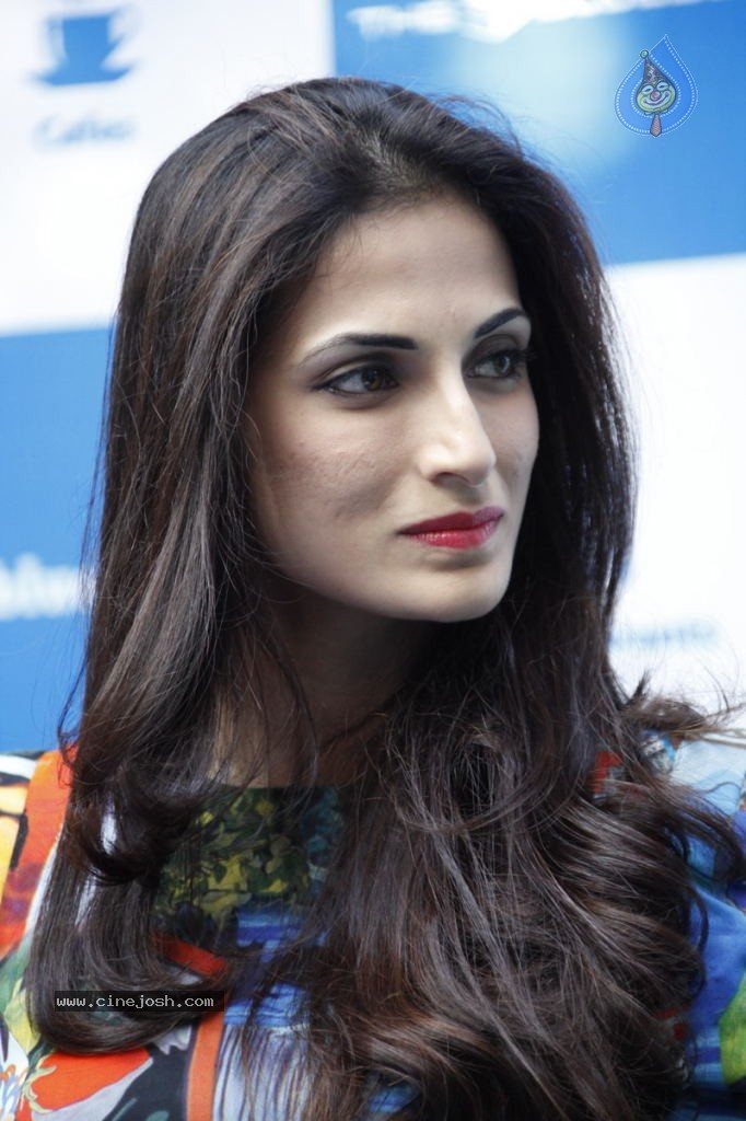 Silpa Reddy New Stills - 63 / 65 photos