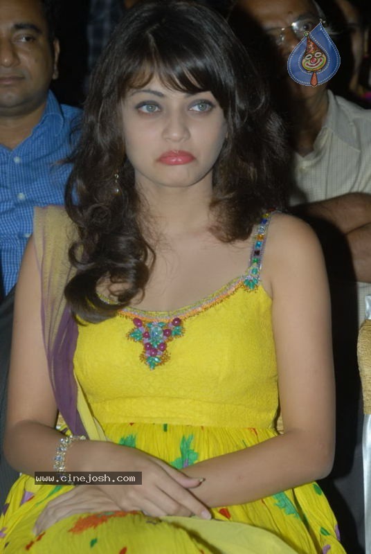 Sneha Ullal at Madatha Kaja Audio Launch - 26 / 39 photos