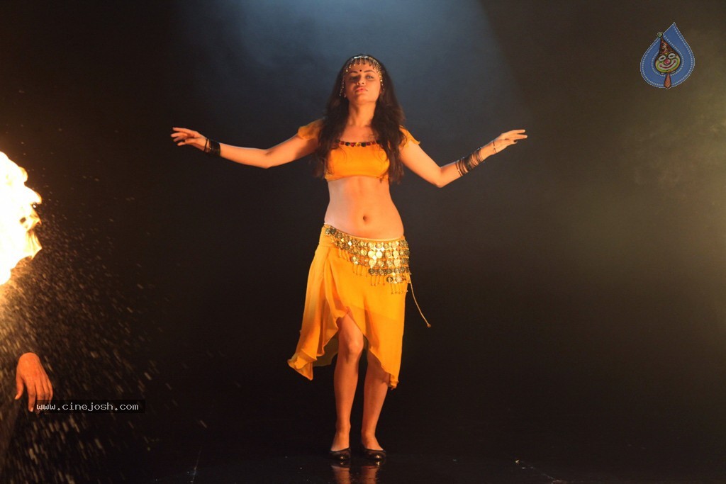 Sneha Ullal Hot Stills in Action 3D - 4 / 34 photos