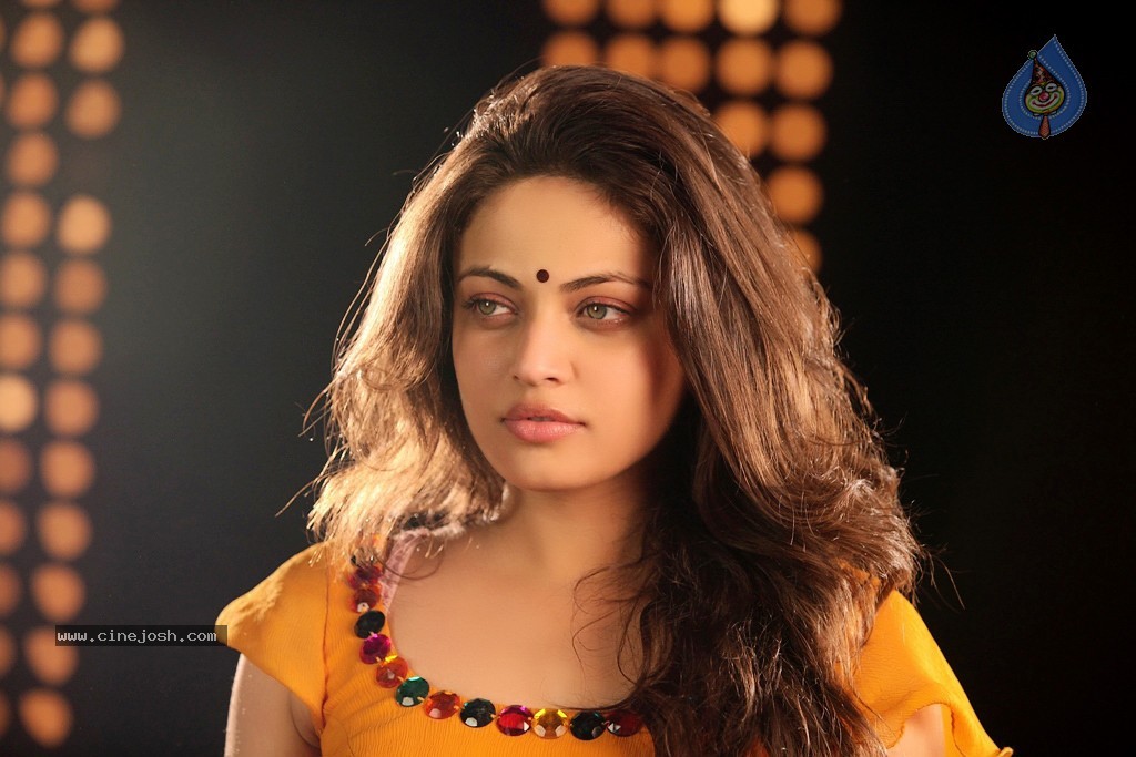 Sneha Ullal Hot Stills in Action 3D - 11 / 34 photos
