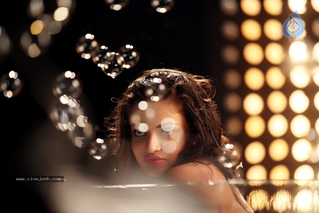 Sneha Ullal Hot Stills in Action 3D - 31 / 34 photos