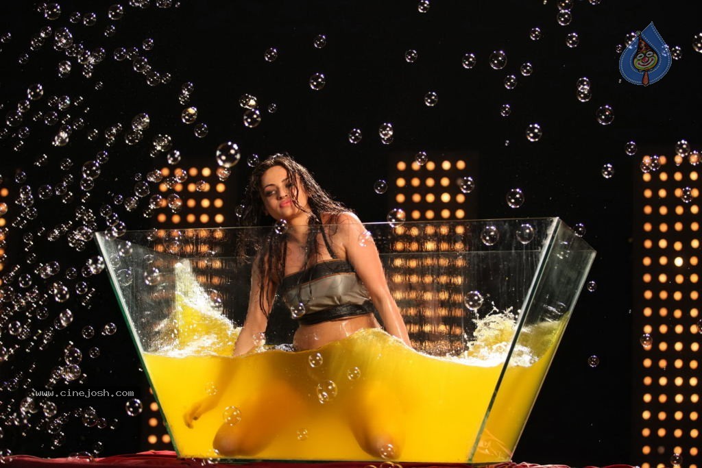 Sneha Ullal New Hot Gallery - 74 / 128 photos