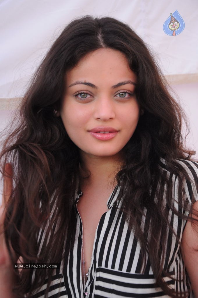 Sneha Ullal New Photos - 26 / 71 photos