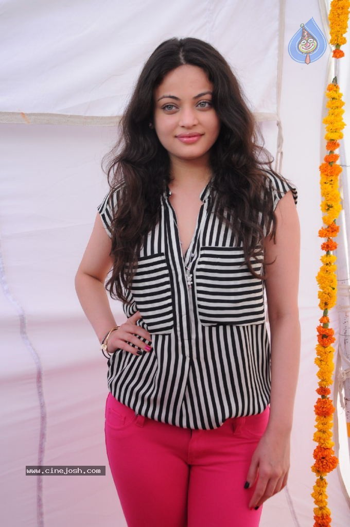 Sneha Ullal New Photos - 27 / 71 photos