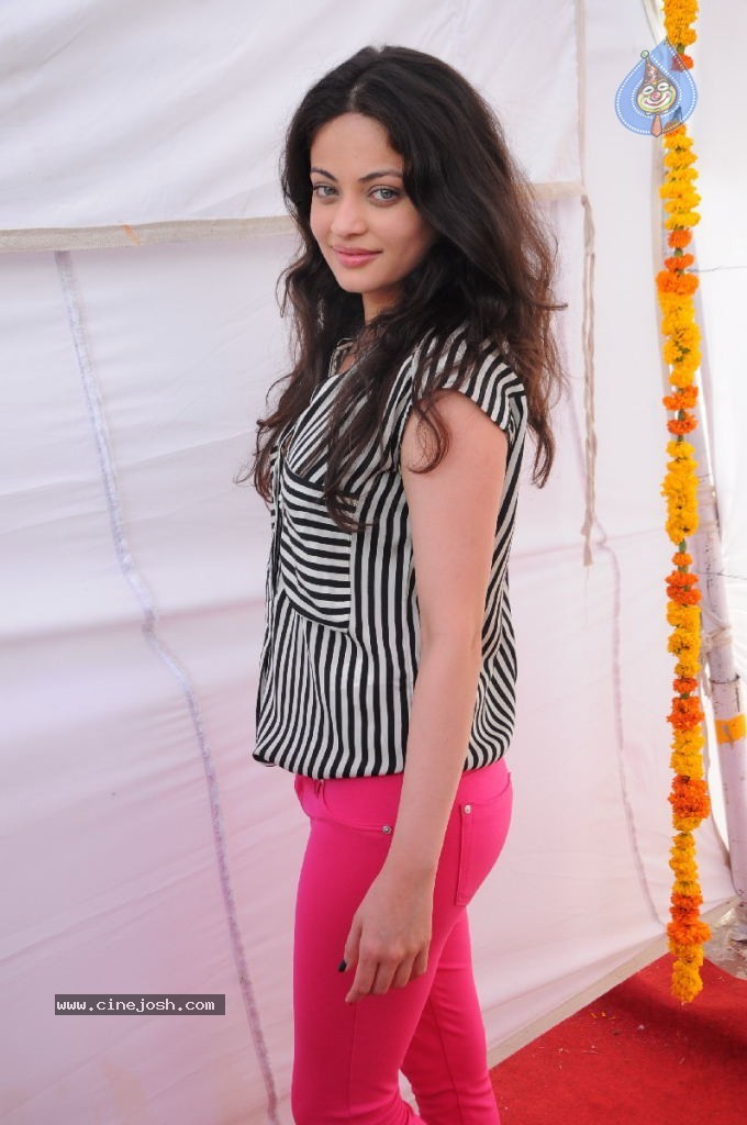 Sneha Ullal New Photos - 34 / 71 photos