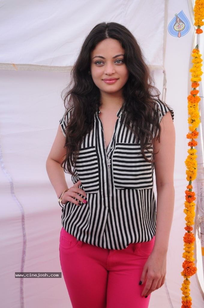 Sneha Ullal New Photos - 37 / 71 photos
