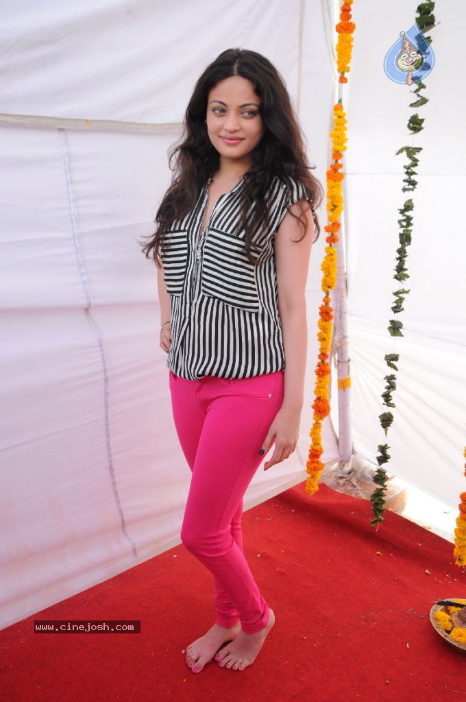 Sneha Ullal New Photos - 54 / 71 photos
