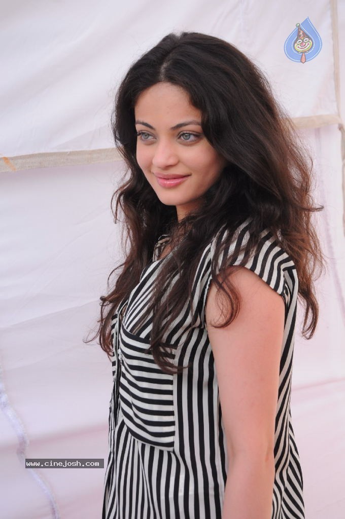 Sneha Ullal New Photos - 59 / 71 photos