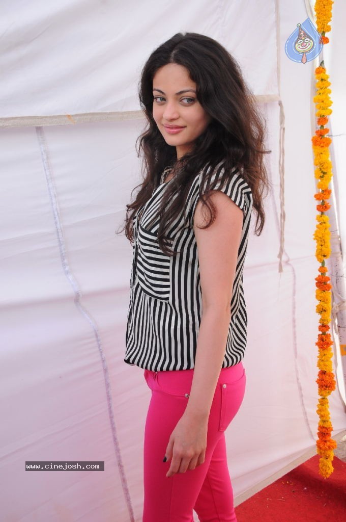 Sneha Ullal New Photos - 63 / 71 photos
